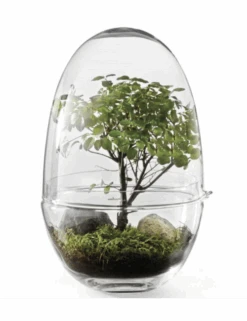Design House Stockholm Grow Greenhouse X-Large