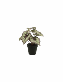 Artificial Plant Begonia