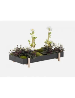 Design House Stockholm Botanic Tray