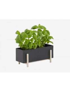 Design House Stockholm Botanic Herb Box