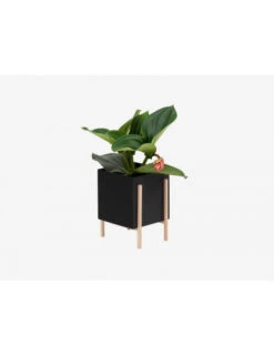 Design House Stockholm Botanic Pot